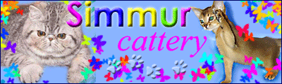 cattery Simmur
